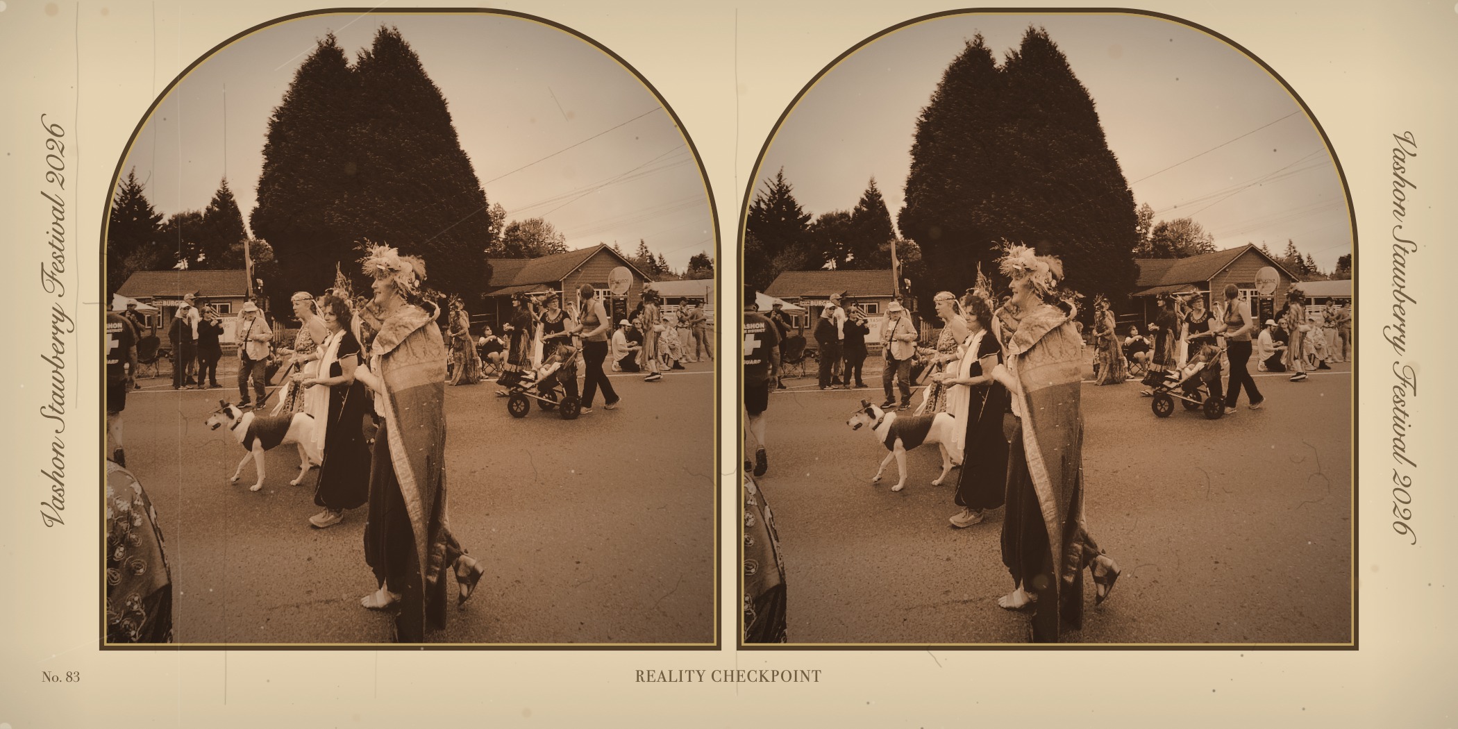 stereograph card