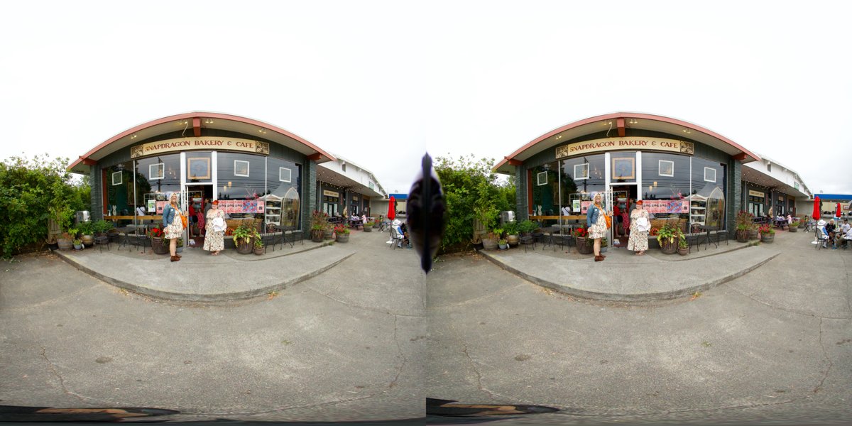 VR180